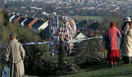 Holy Thorn Tree of Glastonbury