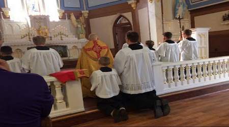 Surprising Insights in Our Month with a Communion Rail...