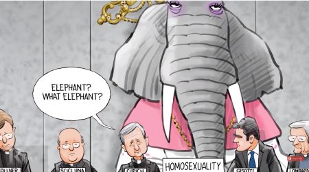 The elephant in the room