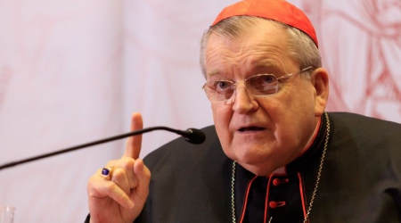 Cardinal Burke speaking at the Rome Life Forum in Rome, May 2018.