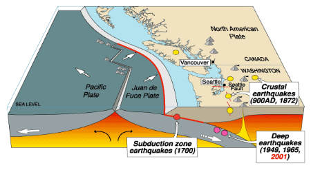 Cascadia earthquake source