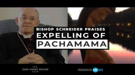 Bishop Schneider praises expelling of 'Pachamama' idol at Amazon Synod 