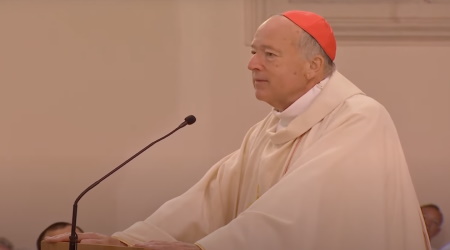 Cardinal Robert McElroy