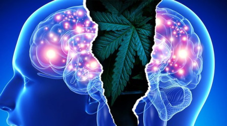 Cannabis and Schizophrenia