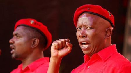 Economic Freedom Fighters' Julius Malema