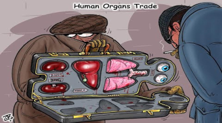 Archive - Doctor Wants to Redefine Death So Hospitals Can Harvest More Organs