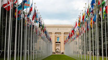 UN flags