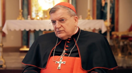 Cardinal Burke: ‘Synodality Has to Be Stopped’