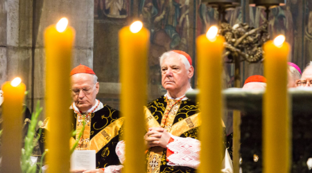 Cardinal Müller Shakes Up the Consistory: “We Must Respond to the SSPX”