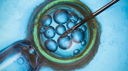 IVF is Wrong Because it Plays God and Sells Babies Like Commodities