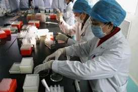 World Health Organization investigats bird flu.