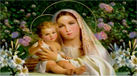 The Saints speak of Our Lady's Immaculate Conception