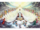 Mary Immaculate, Queen of the Universe picture